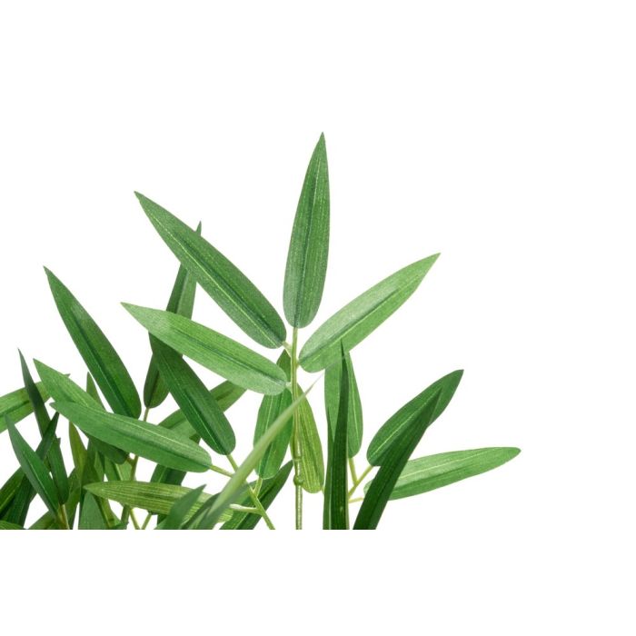 Tekokasvi Bambu ruukussa 100 cm