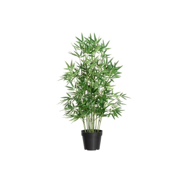 Tekokasvi Bambu ruukussa 100 cm