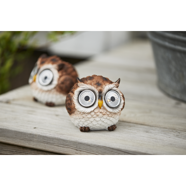 Aurinkokennovalaisin Pöllö