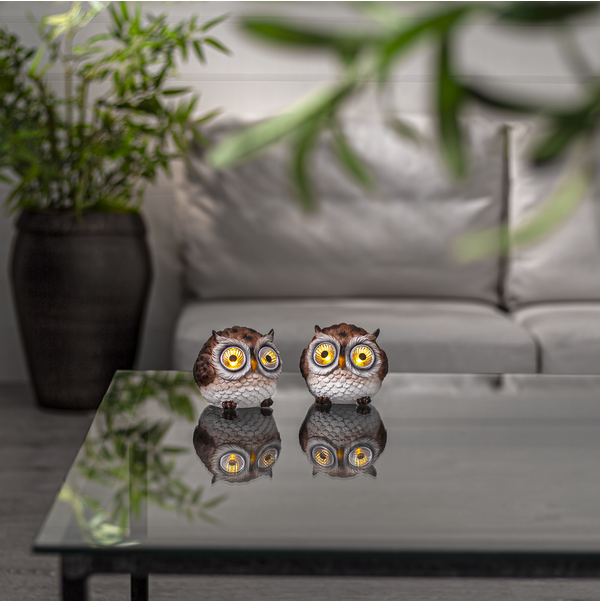 Aurinkokennovalaisin Pöllö